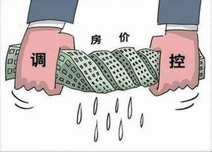 国家的宏观调控是什么意思？