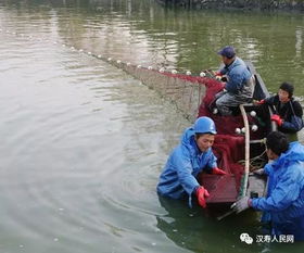 汉寿县 清理河道 迷魂阵 地笼网 为鱼儿让出生命通道