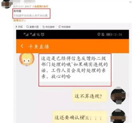 三三九直播间违规被封,大量网友举报惊动斗鱼上层,复播无望