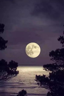 关于月色晚安的诗句