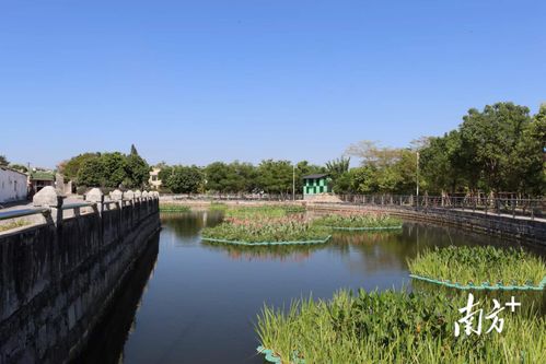 普宁 告别 臭水坑 ,乡村风水塘迎来新型治水系统