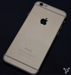 iphone 6和iphone plus选哪个