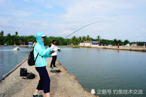 常用的钓鱼方法有哪些 哪种钓法最好用 几种主流常用钓法介绍