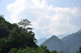 秦岭小峪夏日山色