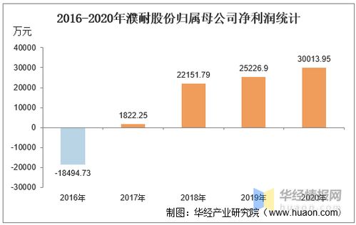 总资产60万投10万占多少股份怎么计算