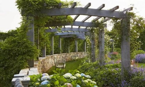 一个花架,瞬间让你的庭院变美10000倍