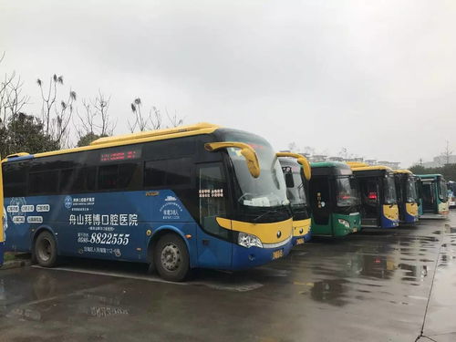 2023北京扫墓专线车