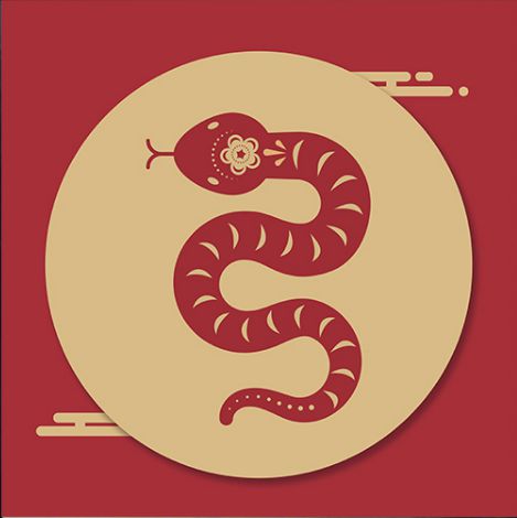 姜群 2023农历癸卯年,生肖属蛇的人全年整体运势及运程解析 财运 凶星 公历 桃花运 网易订阅 