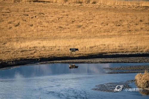 湿地旅游与保护论文