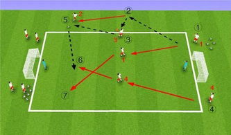 最基础的足球战术小学,足球技战术训练视频