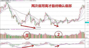 MACD和RSI都出现了顶背离，怎么办。