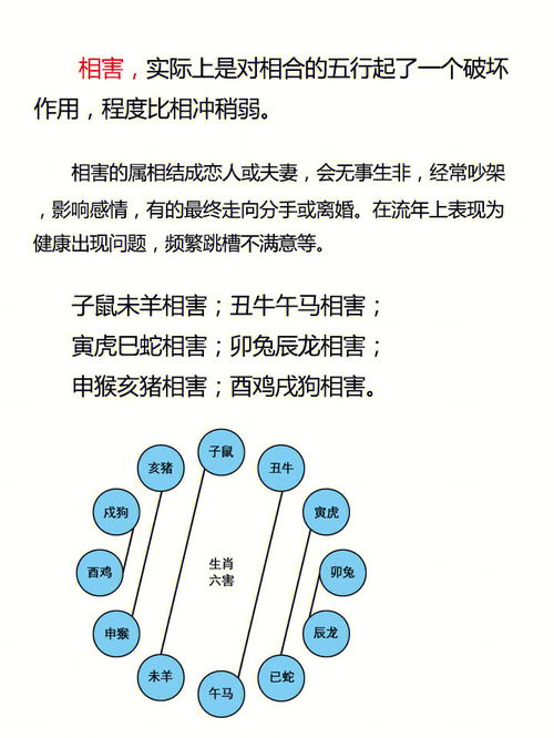 十二生肖相冲 相刑 相害 