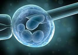 试管促排卵打针吃药真的会影响正常的卵巢功能吗？