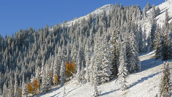 科罗拉多州,山的另一边,雪,景观,荒野,风景,自然,野生,户外,环境,景区,土地 