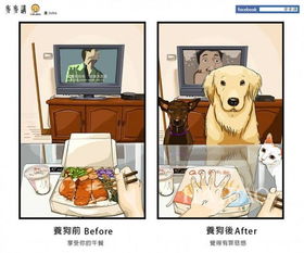 养狗的人才懂的心情,养狗前后生活大不同,甜蜜的负担有苦有乐 