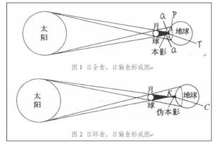 吊针原理示意图(吊瓶打针原理)