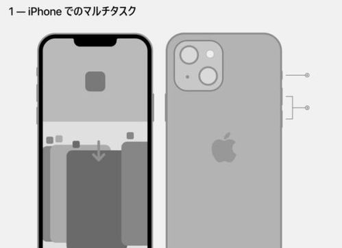 库克自曝iPhone13更好 加量不加价