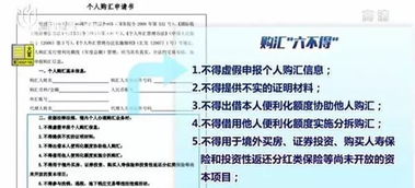 真心求救啊！！！ 中行购买外汇申请书怎么填写~！！！ 购汇金额怎么写啊 写美元还是人民币啊？