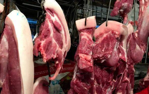 连降10周 猪肉价格降超两成, 10元肉 在路上了