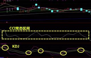 想建立macd和cci指标组合的股票交易系统，怎么写公式啊