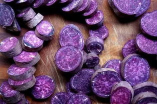 紫薯如何催芽
