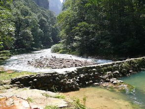 自驾张家界停车在哪里比较方便(张家界大成山水免费停车场)