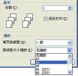 word里面的内容是用16开的纸做的,没有16开的纸,只有A4的纸,怎么用A4的纸打印出来 