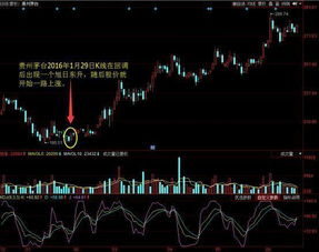 哪位高手能否用最简单、易懂的语言解释下：什么是限售股票？谢谢。网上有说明但都看得似懂非懂的。