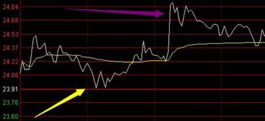 现在什么证券实行回转交易。。?B股现在到底是T+3还是T+1了?