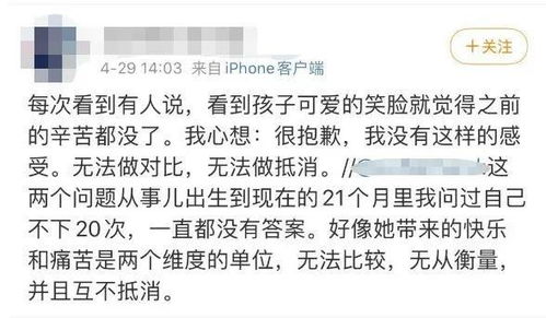 何以为家意思怎么解释(何以为家后面一句是什么)