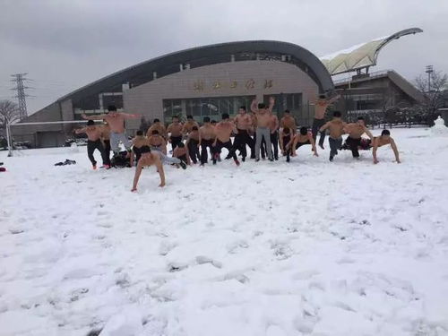 杭州一群小伙光膀子在雪地里摔跤,视频爆红 原来他们是 