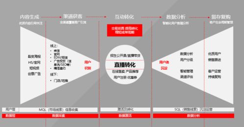 个性化的字体设计！中文/英文/数字|JN江南·(中国)体育官方网站(图3)