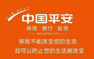 请问平安车险营业厅哪里有 (石家庄长安区平安保险车险网点)