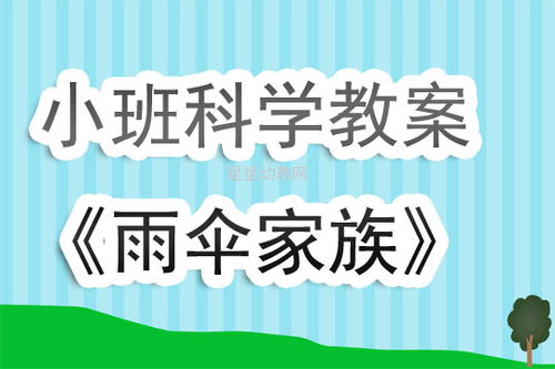 小班数学活动雨伞家族教案