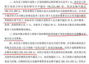 公司股东向他人零对价转让股权，但新股东需注入100万元流动资金，该流动资金如何定性。属于借款吗？