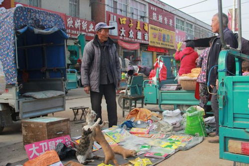 农村大集上摆地摊的老人,行走江湖,一脸沧桑,写满生活的不易 