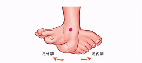 跑步时脚后跟着地还是前脚掌着地 