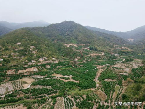 阴宅风水寻龙点穴要法