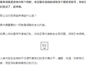 别再熬夜了,这才是全球公认最健康的作息时间表