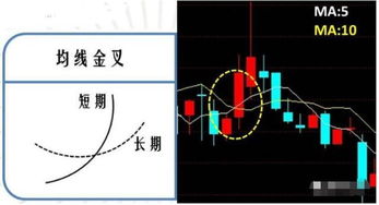 请问谁知道哪个公司招操盘手新手 或怎么学习操盘手 或学习股票类的 谢谢各位老师