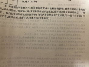 奇妙的和谐为话题写一篇不少与600字的作文 