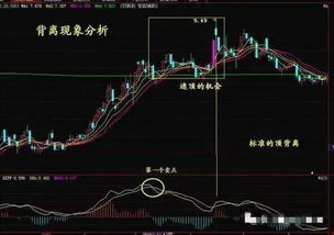 割肉卖了！刚刚又少量买入了相同股票，成本价怎么提高了这么多啊？晚上清盘后，明天会恢复我今天购买的价