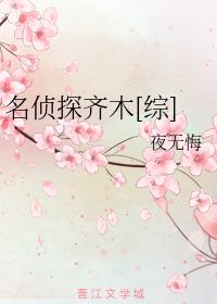 名侦探齐木 夜无悔 