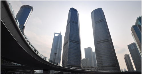 深圳的发展被说像是香港,那么上海像哪座城市