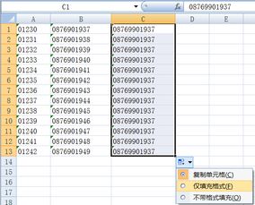 【Excel】如何在自动筛选模式下使用以序列方式填充单元格