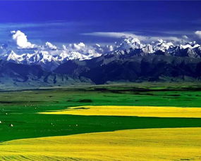8月新疆 新疆伊犁的夏天,美炸了