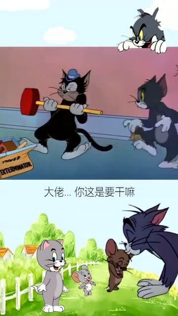 这是高手间的对决,猫和老鼠搞笑配音 