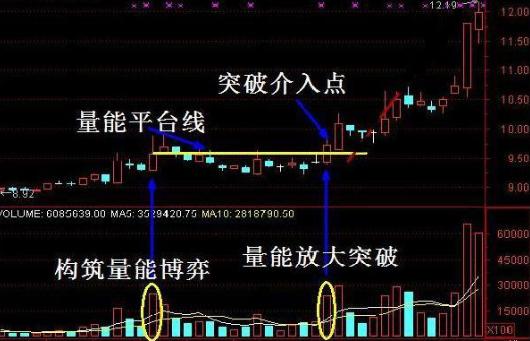 5年前买入10万元海天味业股票作长线布局,到现在赚多少