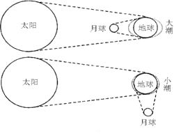 阅读下图,据此回答问题 有关大潮 小潮出现日期的月相的叙述,正确的一组是 ①图中大潮出现的日期月相是新月②图中大潮出现的日期月相是满月③图中小潮出现的日期月相是上弦月 