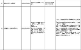 申请支付牌照号码时需要注意哪些事项？